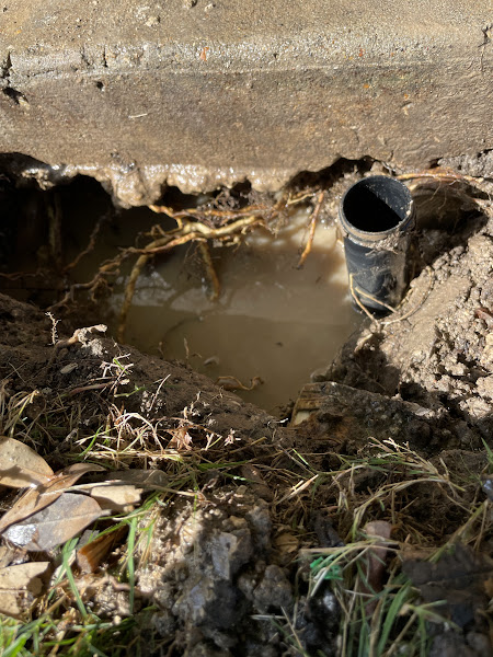 Sprinkler service in Euless TX — Sprinkler Project Gallery photo 8